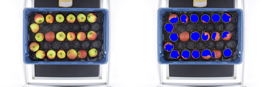 Artificial Intelligence in the Food Domain